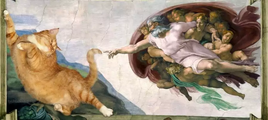 Contenuti per rendere il tuo sito virale!