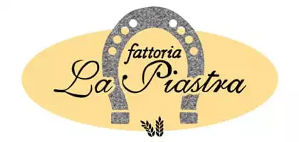 Logo Agriturismo la Piastra