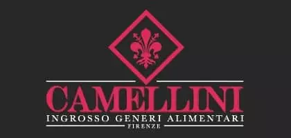 Logo Ingrosso Camellini