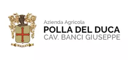 Polla del Duca