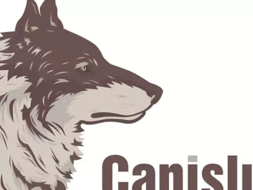 Canislupus